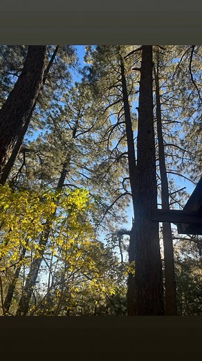Southern Rockies Camp and Retreat Center on Reels