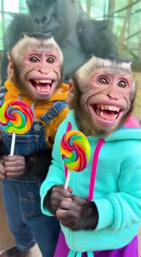 A Tiny Lizard Scares Monkeys AND a Gorilla 😂🦎 #fyp #shorts #funny #gorillatag