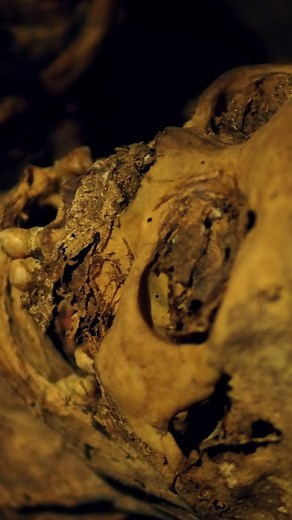 235K views · 900 reactions | You’re looking at an Ibaloi Fire Mummy from Kabayan, Northern Luzon, Philippines. The Ibaloi Fire Mummies date back to 2000 BC and can be found in natural caves along the mountain slopes of Kabayan. ️ #History #DidYouKnow | Science Channel | Facebook