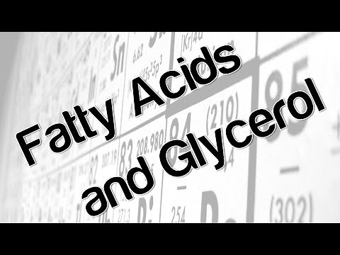 Fatty acids and glycerol
