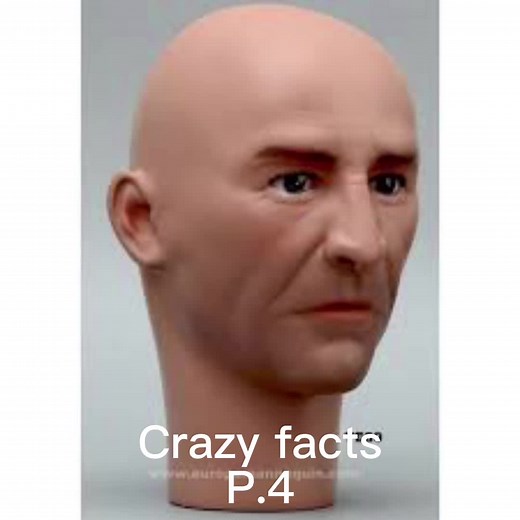 #Crazy facts #fyp #viral #p.4