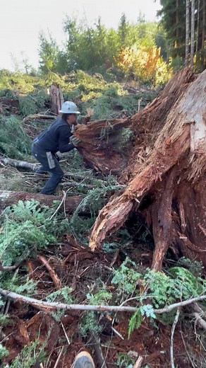 #fortheboyzz #boysonly #foryoupage #hulk