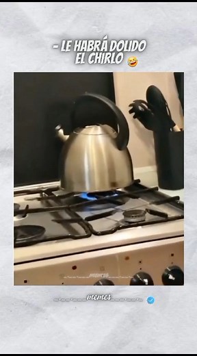 #15 | Memes Randomm 2.0