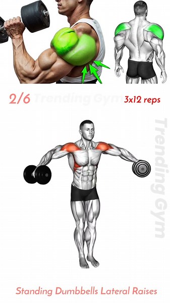 Shoulder Day Workouts Routine 🔥 - Shoulder Exercises #shoulderworkout #shoulders #shoulderpress