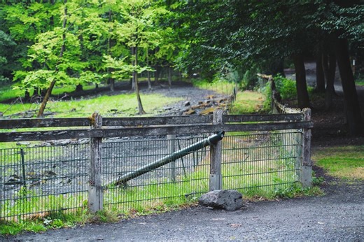 Leeres Gehege nach Streichelzoo-Drama im Ruhrgebiet – acht Tiere getötet
