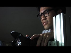 Analyzing mechanics of butterflies in flight