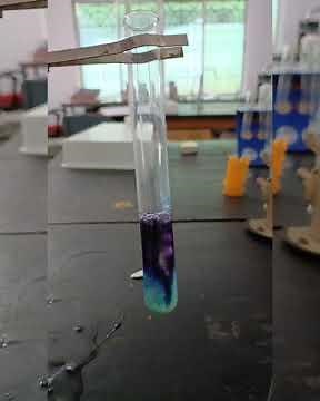 Protein Test - Egg Albumin|| Biuret Test, Xanthoproteic Test, millon's Reagent Test || class 12 CBSE