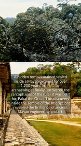 44K views · 654 reactions | A Mayan pyramid held the secret tomb of a powerful ruler for more than twelve centuries. #ancienthistory #archaeology #mayan | Ancient Star | Facebook