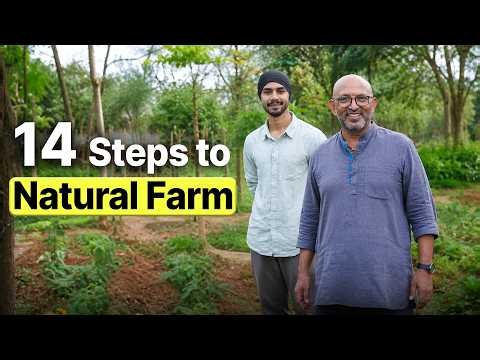 5-Layer Natural Farming: Google Engineer का 6.5 Acres Farm Tour | 2000+ Plants, Zero Budget
