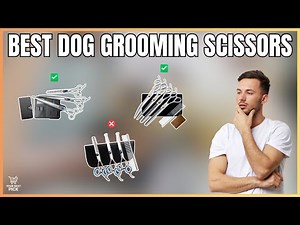 Best Dog Grooming Scissors in 2026 - Budget, Mid-Range and Premium Shears for Beginners & Pros