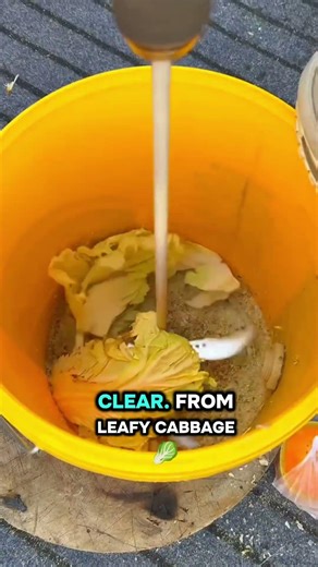 DIY High-Speed Vegetable Shredder | Forget Manual Chopping!