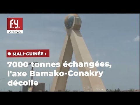 Mali-Guinea: 7,000 tons traded, the Bamako-Conakry axis takes off