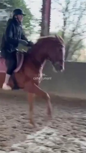 Quand Macarena ralentit le temps 🐎🔥 | When Macarena slows down time