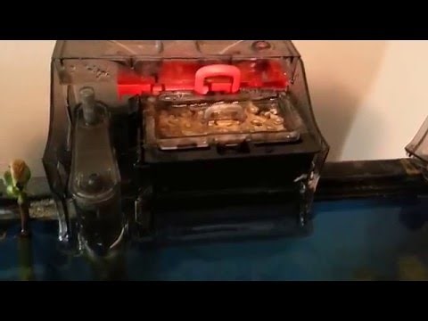 Fluval c2 filter review