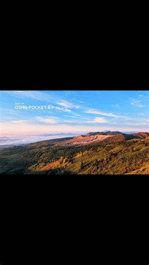 DJI Osmo Pocket 4P #pr #DJIOsmoPocket4P #vlogcamera #digitalcamera #pocketcamera