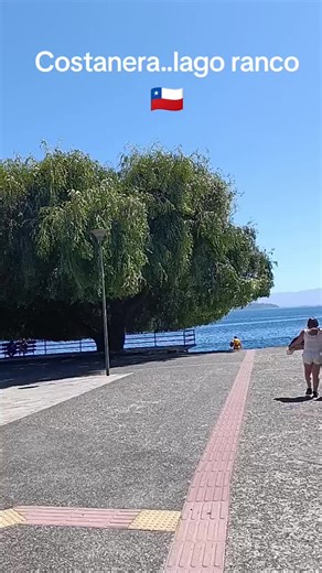 #lago ranco 🇨🇱 #region de los ríos 🇨🇱 #rutas con el maldito♥️