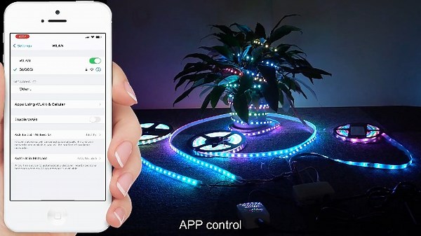 Watch Dream Color LED Strip Lights, for Bedroom, APP Control on Amazon Live