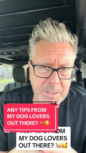 Tips for Dog Lovers: Embrace Your Bernedoodle Puppy