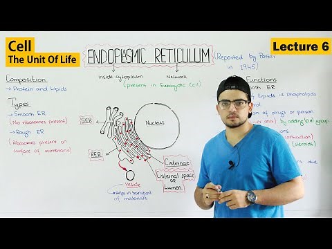Endoplasmic Reticulum structure and functions | Video 6