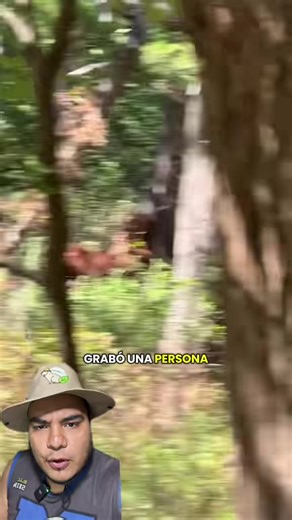 ¿Existe realmente el Pie Grande?