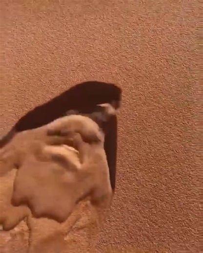 Mesmerizing Liquid Sand Art Process