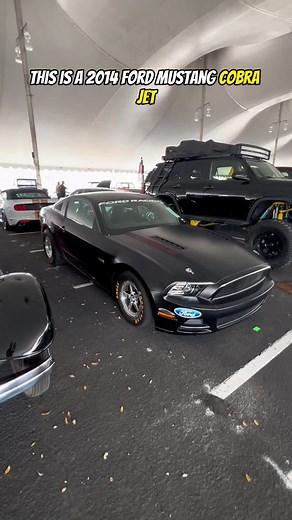 2014 Ford Mustang Cobra Jet: Racing Excellence in Limited Edition