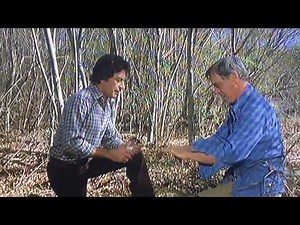 The Incredible Hulk The First Part 2 David encounters Dell in the woods scene