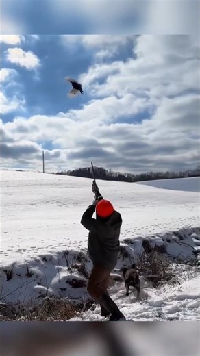 pheasant hunting fast time 😜 best shot #hunting #chase #archery