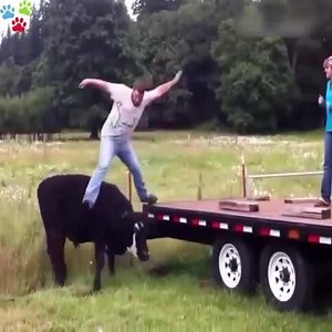 4.3K views · 55 reactions | Wow | FUN VIDEO | Facebook