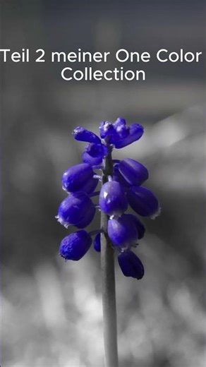 Teil 2 meiner One Color Collection