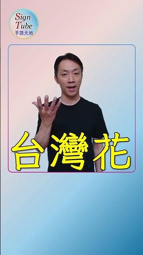 台灣花 手語演繹