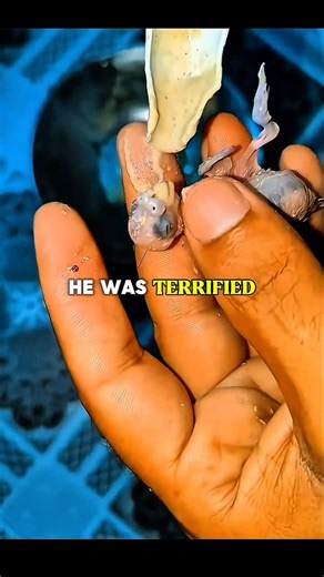 He looked like an ALIEN... until this happened 🦜👽 #shorts