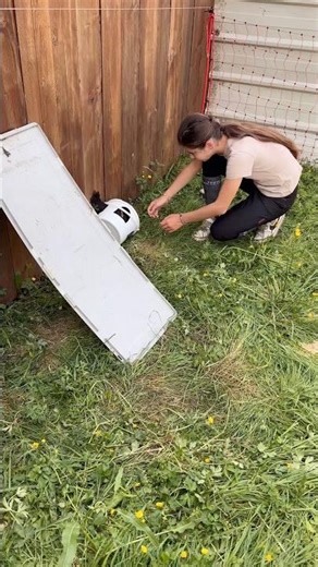CETTE POULETTE ÉTAIT BLOQUÉE, REGARDEZ CE QUI S'EST PASSÉ 😅