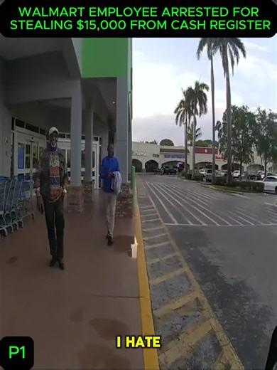 #explain #criminal #society #police #knowledge