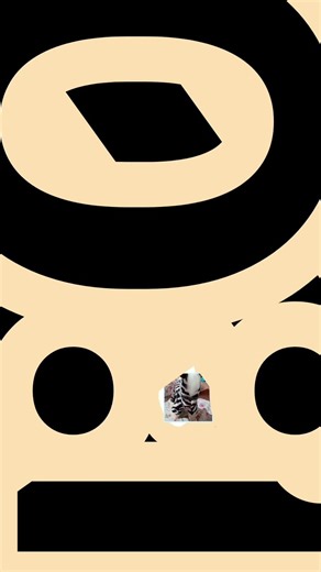 29 de dezembro de 2025