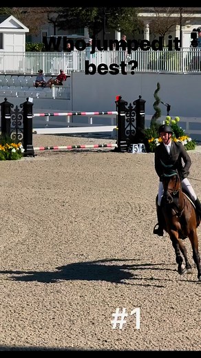 Grand Prix jumping at #wecocala #jumpinghorse #horseshow #beautifulhorses #horses | Tracy Davis