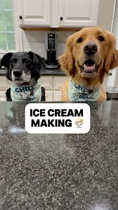 Let's make some peanut butter banana ice cream with Maple and Macy. We are using our new Ninja Creami Ice Cream maker but a high speed blender could work too. Recipe below 1 banana sliced up 1/4 - 1/3 cup all natural peanut butter ( make sure it does NOT contain Xylitol). 1 tablespoon maple syrup 1 cup goat milk dog saliva optional Add to cup and stir all ingredients Freeze overnight Add cup into the Ninja cream maker and press ice cream button and blend/spin until smooth Can make this in a high