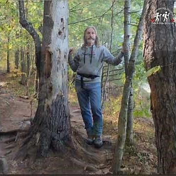 The Best Hiking Trail In Eastern Ontario | Eagles Nest Lookout