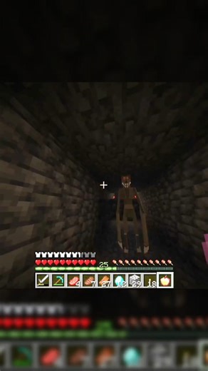 Qué pasó con mis mods en Minecraft? 💀 #minecraft #shorts