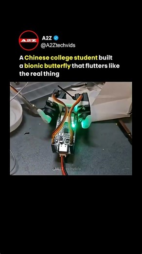 This Student Built a Robot That Flies Exactly Like a Butterfly