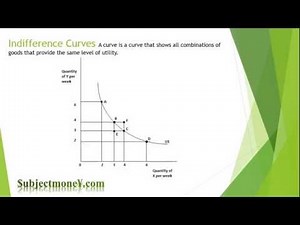 Microeconomics: Indifference Curves Utility Budget Constraint Line Marginal Rate of Substitution MRS