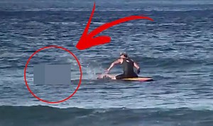 WATCH: Surfer doesn't expect THIS shocking visitor on his wave