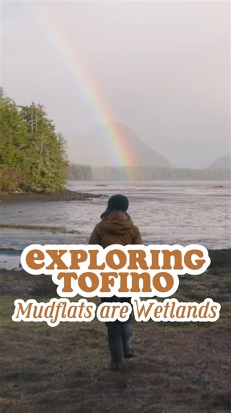 Mudflats thrive where the ocean tides breathe and where the ocean and forest intersect. Freshwater from streams outflow into the Tofino Mudflats and mix with the salty sea, while saltwater ebbs and flows throughout the bay’s intertidal zone, representing the interconnectedness of the land and ocean. There are many creatures that thrive in this dynamic ecosystem, such as ghost shrimp, crabs, clams, western sandpipers, otters, osprey, black bears, wolves, and much more! #wetlands #mudflats #tofino