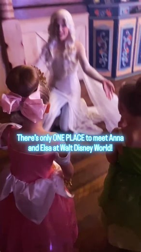 Alana Bedra - The Vacationeer on Instagram: "There’s only ONE place to meet Anna and Elsa at Disney World….and it’s not at Magic Kingdom (except during the Christmas party) EPCOT! Anna and Elsa meet all day in Epcot in the Norway Pavillion Just outside of their “Frozen Ever After” ride, you’ll find “Royal Summerhaus” and you can meet both sisters back to back. You’ll meet Elsa when you walk in and she’ll escort you over to meet Anna after! Photopass cameras are in there to catch all the pics, bu