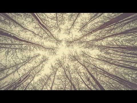 Low Key Tech/ Melodic Techno Mix by Dr. Gaertner