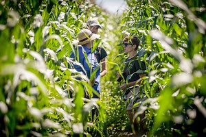 Organic Consulting - Rodale Institute