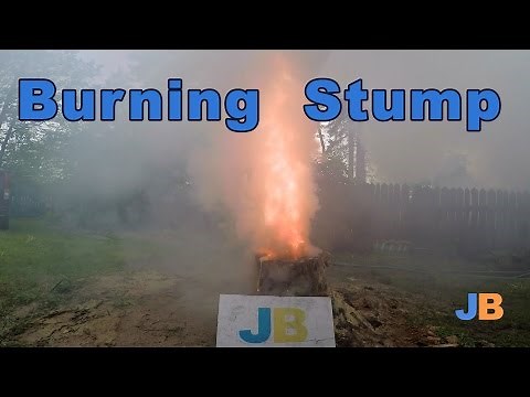 Burning Stump