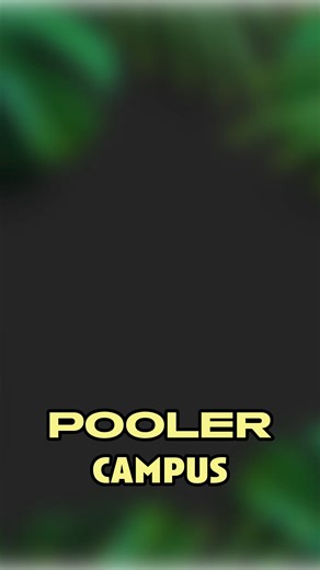 This musical adventure has officially ended it's run. Madagascar JR., what a roar-some good time!! Congrats to all!! 🦁💥🦓 #madagascarthemusical #childrenstheatre #summerfun #savannah #summertheatre #celebratethearts #funtimes #onstageandoff #poolersavannah | Savannah Children's Theatre