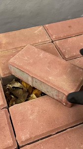 Mini pool | Handy Panda