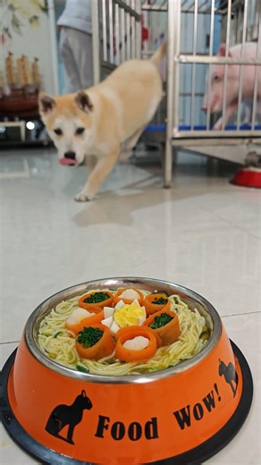 The pig begged the dog for food, but the dog was very heartless and did not give it